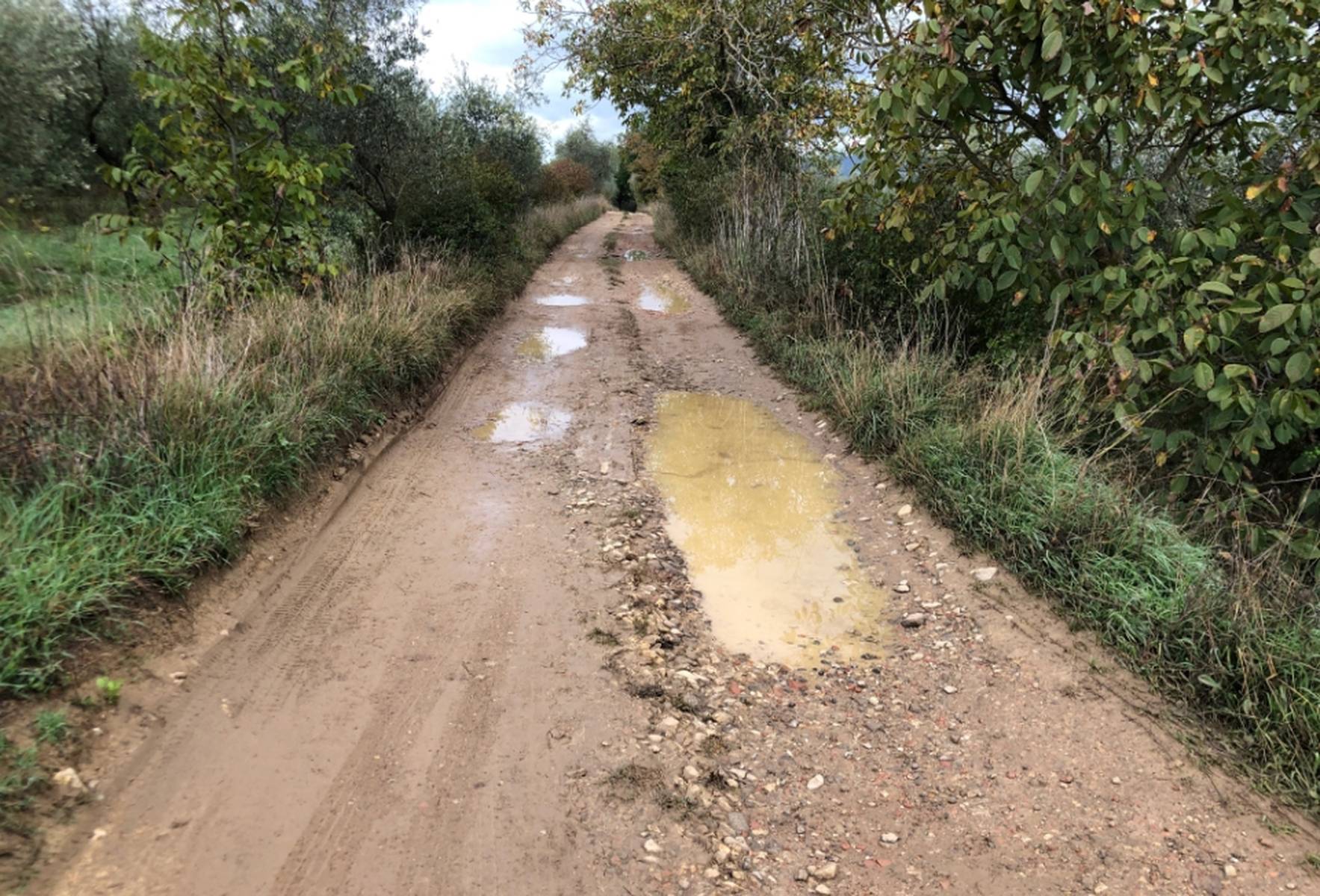 A seguito di piogge, buche e pozzanghere dissestano questa strada sterrata rettilinea, immersa nella vegetazione.