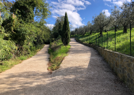 Bivio rivestito con pavimentazione drenante chiara, in un contesto naturale con cipressi al centro ed olivi e vegetazione laterali.