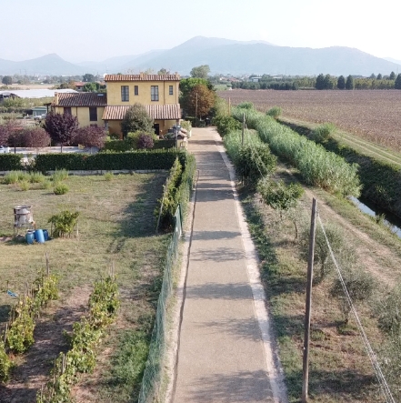 Strada di campagna con pavimento drenante, che conduce a una casa rurale, circondata da campi e vegetazione.