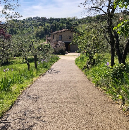 Grazioso contesto campestre con strada drenante che conduce ad una casa immersa tra prati, ulivi e colline.