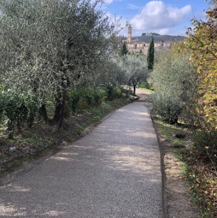 Sentiero pavimentato tra ulivi, in zona vincolata, con vista su un borgo storico in lontananza, in una giornata soleggiata.