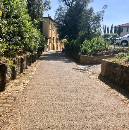 Strada drenante cinta da muri in pietra con alberi e cespugli, in un contesto residenziale tradizionale, in un giorno di sole