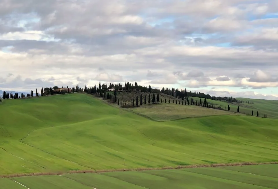 125 Paesaggio collinare verdeggiante con manto erboso e cipressi, assoggettato ai vincoli ambientali delle zone protette