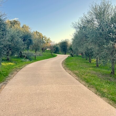 Strada di campagna realizzata con la pavimentazione Drenidea in un colore chiaro tipico delle strade sterrate.